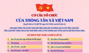 Cơ cấu tổ chức của Thông tấn xã Việt Nam theo Quyết định số 18-QĐ/TW ngày 30/3/2026 của Bộ Chính trị