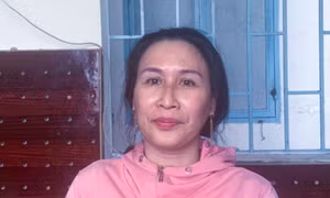 Phạt tù Lê Thị Bình do sử dụng Facebook chống phá Đảng, Nhà nước