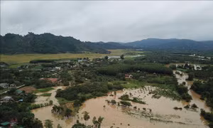 Đêm 11/8, Tây Nguyên và Nam Bộ có mưa, có nơi mưa to