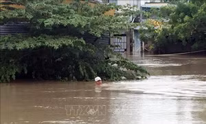 Vùng trũng Phước Nam, Ninh Thuận ngập sâu hơn 1m do hoàn lưu bão