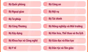 Bộ máy của Chính phủ nhiệm kỳ 2021 - 2026 sau sắp xếp, tinh gọn