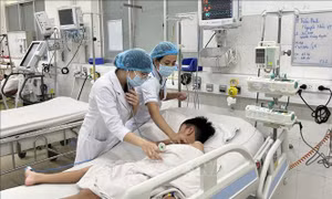 Ghi nhận 6 ca tử vong do sốt xuất huyết, TP Hồ Chí Minh tăng cường các giải pháp phòng ngừa