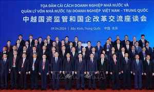 Việt Nam - Trung Quốc chia sẻ kinh nghiệm cải cách doanh nghiệp nhà nước