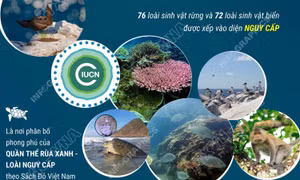 Vườn Quốc gia Côn Đảo được công nhận danh hiệu 'Danh lục xanh' IUCN