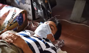 Ít nhất 79 người bị nhiễm cúm A/H1N1 tại Ấn Độ