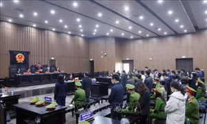 Sáng mai (22/5), xét xử phúc thẩm cựu Chủ tịch Công ty AIC Nguyễn Thị Thanh Nhàn