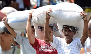Philippines tăng cường nhập gạo nhằm ứng phó với El Niño và ổn định thị trường
