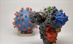 Vật liệu in 3D đầu tiên trên thế giới có thể tiêu diệt virus SARS-CoV-2 trên bề mặt