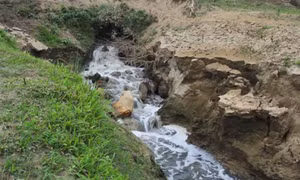 Vi phạm về môi trường, doanh nghiệp nước ngoài bị phạt 335 triệu đồng 