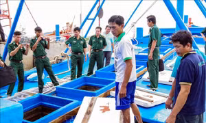 Biên phòng Sóc Trăng bắt tàu chở 100.000 lít dầu không rõ nguồn gốc 