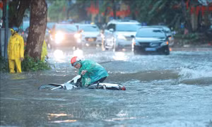 Hà Nội khẩn trương thực hiện các phương án phòng, chống bão số 11