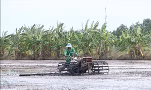 Nghị quyết về kéo dài thời hạn miễn thuế sử dụng đất nông nghiệp