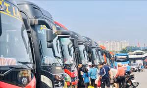 Bốn loại phương tiện bắt buộc lắp thiết bị giám sát hành trình