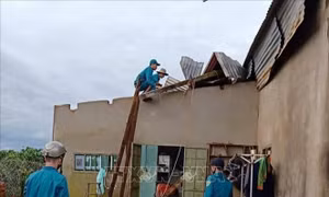 Lốc xoáy khiến gần 40 căn nhà bị tốc mái, hàng tấn sầu riêng bị rụng quả