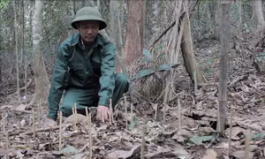 Bảo tồn, khai thác và phát triển nguồn gen - Bài 3: Cần sự chung tay của các địa phương
