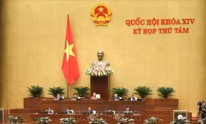 Quốc hội thảo luận tại tổ hai dự án luật và biểu quyết một nghị quyết