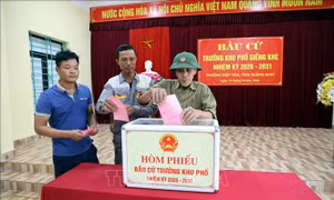 Rộn ràng ngày bầu cử trưởng thôn, bản, khu phố ở Quảng Ninh