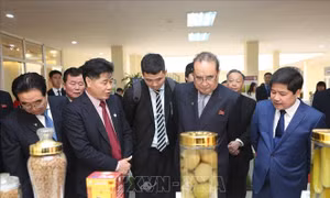 Phó Chủ tịch Đảng Lao động Triều Tiên thăm quan Viện Khoa học Nông nghiệp Việt Nam 