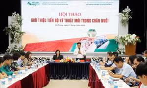 Giải pháp nâng tầm ngành chăn nuôi trước yêu cầu phát triển xanh