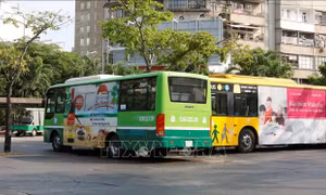 Lập chuyên án điều tra nạn quấy rối tình dục trên xe buýt ở TP Hồ Chí Minh