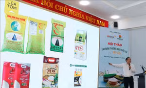 Xây dựng thương hiệu quốc gia cho gạo Việt