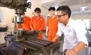 Phát triển thị trường lao động linh hoạt, hiện đại, bền vững và hội nhập