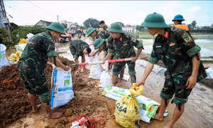 Đảm bảo an toàn đê điều trước lũ đặc biệt lớn trên sông Cầu, sông Thương, sông Cà Lồ