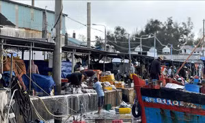 Khẩn trương khắc phục tình trạng ô nhiễm cảng cá