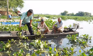 Nước sông Vàm Cỏ Đông có màu đen bất thường kèm mùi hôi lạ