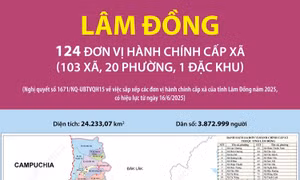 124 đơn vị hành chính cấp xã của tỉnh Lâm Đồng năm 2025
