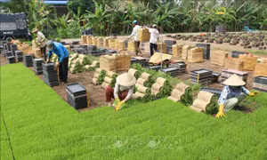 Sắp xếp các đơn vị hành chính cấp xã của tỉnh Đồng Tháp