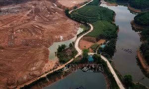 Công ty TNHH Hoàng Gia Yên Bái bị phạt hành chính gần 1 tỷ đồng