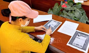 Xử lý trường hợp rao bán giấy mời lễ khai mạc Festival hoa Đà Lạt trên mạng