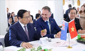 Việt Nam - New Zealand: Lực đẩy từ các giá trị chung và hợp tác đa phương