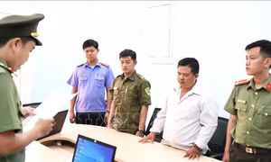 Khởi tố, bắt tạm giam đối tượng hoạt động nhằm lật đổ chính quyền nhân dân