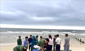 Tàu cá chìm trên biển, hai ngư dân may mắn thoát nạn