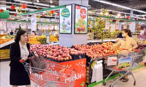 Chỉ số CPI Hà Nội tháng 5 tăng 0,14% 