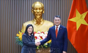 Thủ tướng Chính phủ Lê Minh Hưng tiếp Đại sứ Hoa Kỳ Jennifer Wicks