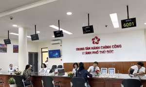 Đề xuất Hà Nội và TP Hồ Chí Minh được tăng thêm không quá 15 phó giám đốc sở