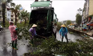Khắc phục ảnh hưởng bão số 3: Không để gián đoạn vận chuyển hàng hóa