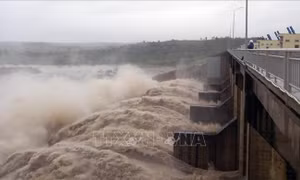 Sửa đổi quy định chi phí lập, thẩm định, phê duyệt và điều chỉnh quy hoạch thủy lợi, đê điều