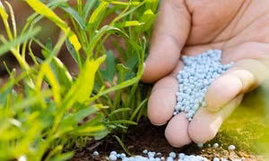 Phương pháp mới hứa hẹn bước tiến trong sản xuất ure