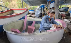 Khôi phục sinh kế biển sau thiên tai - Bài cuối: Mùa vụ không thể chờ chính sách