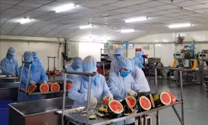 Vượt qua 'virus sợ hãi', bảo vệ người lao động