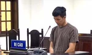 Trộm 4 bánh xe vì mâu thuẫn cá nhân, bị cáo lĩnh án 9 tháng tù