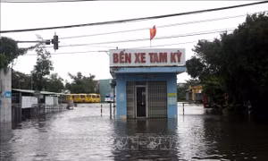 Xây dựng bộ công cụ kiểm soát lũ cho thành phố Tam Kỳ
