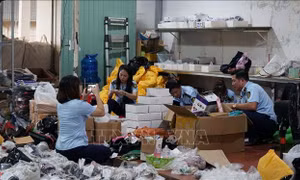 Triệt phá cơ sở livestream hàng hóa giả mạo nhãn hiệu, chốt hàng nghìn đơn mỗi ngày