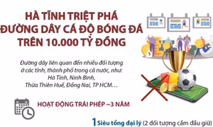 Hà Tĩnh triệt phá đường dây cá độ bóng đá trên 10.000 tỷ đồng