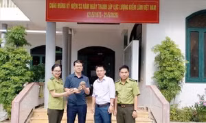 Người dân tự nguyện giao nộp 2 con tê tê Java quý hiếm