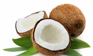 Dừa sáp Trà Vinh lần đầu tiên được tiếp thị chính thức tại Australia